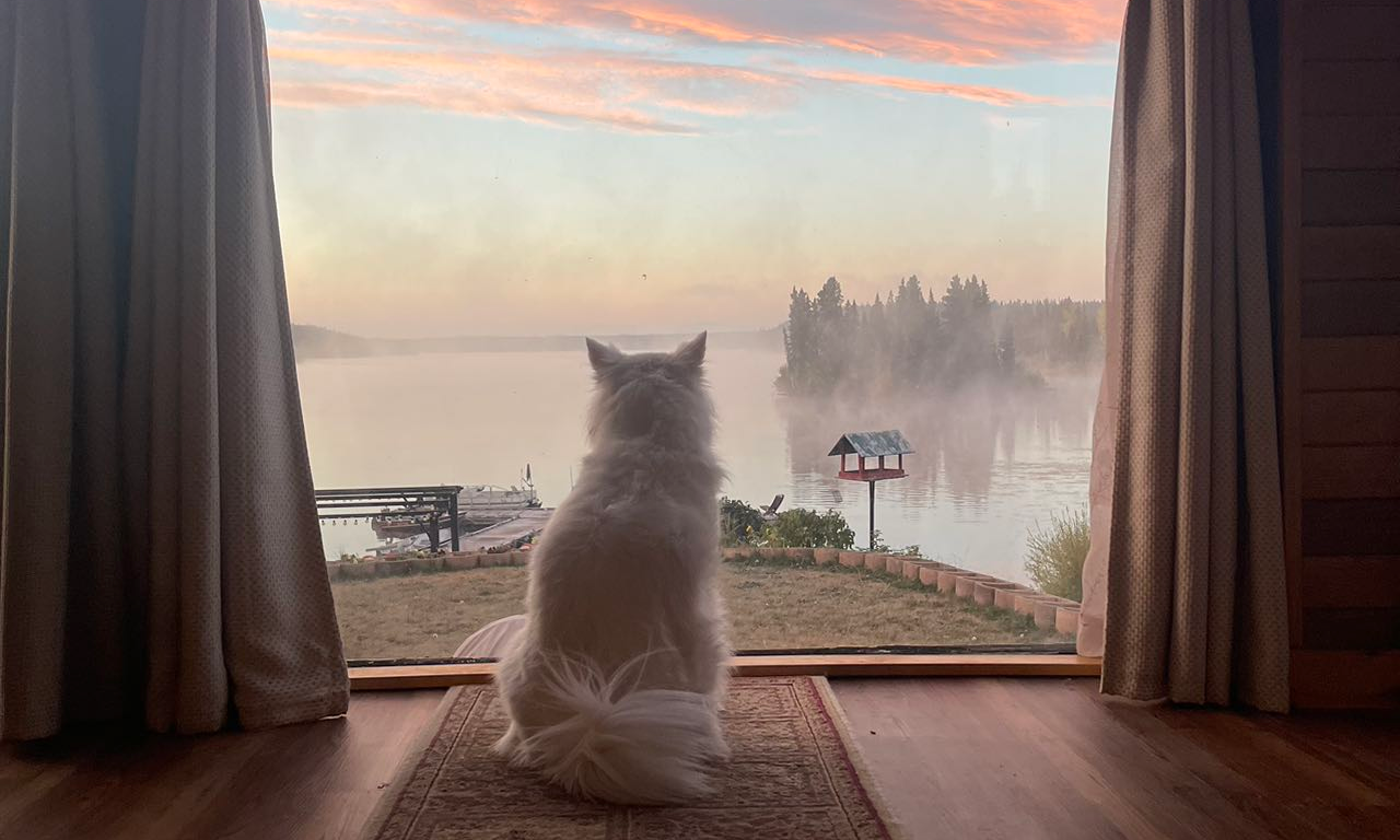 Self check-in secluded lakeside cabins for rent in BC Canada