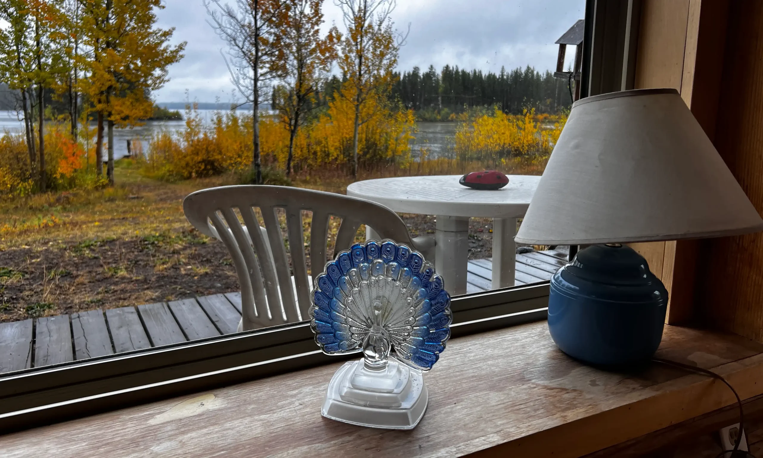 High-speed fiber WiFi for remote work at Nimpo Lake Resort cabins